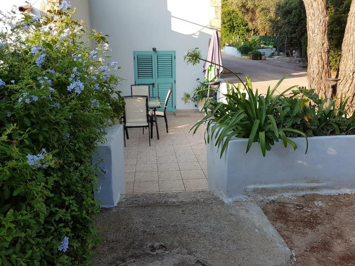Appartamento Casa Prescilia Lumio  Esterno foto